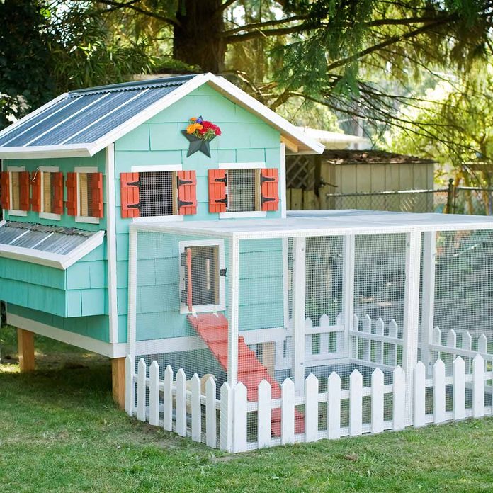 backyard chicken coops Cottage Coop