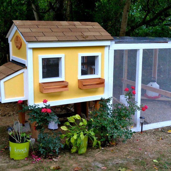 chicken coop house with screened porch