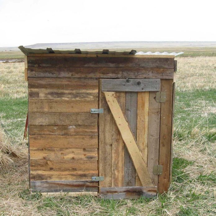 Chicken Coop with Skylight 