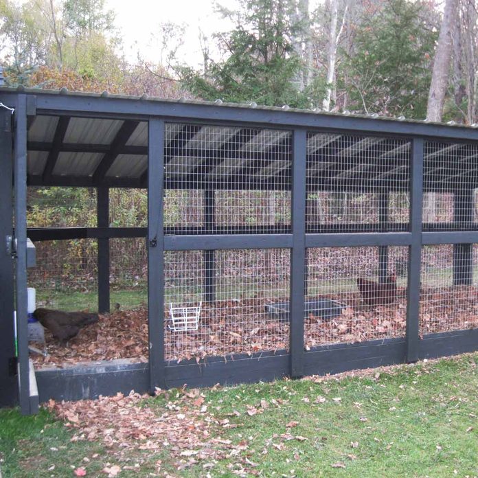 large run chicken coop