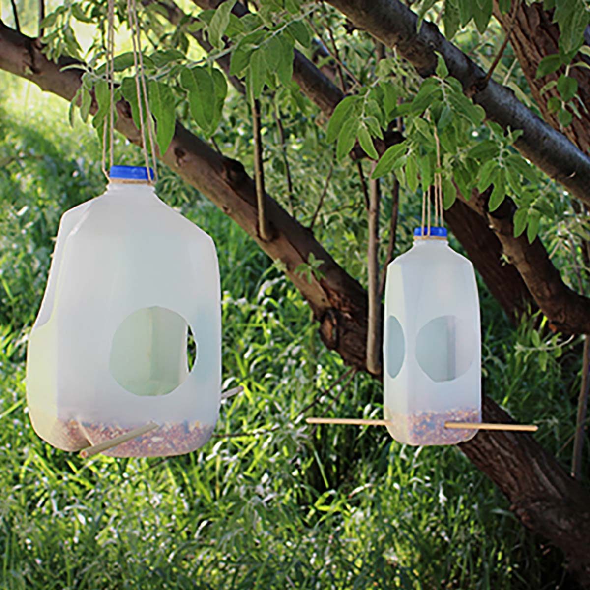 milk jug bird feeder