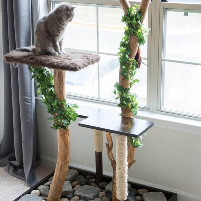 natural cat tree furniture 