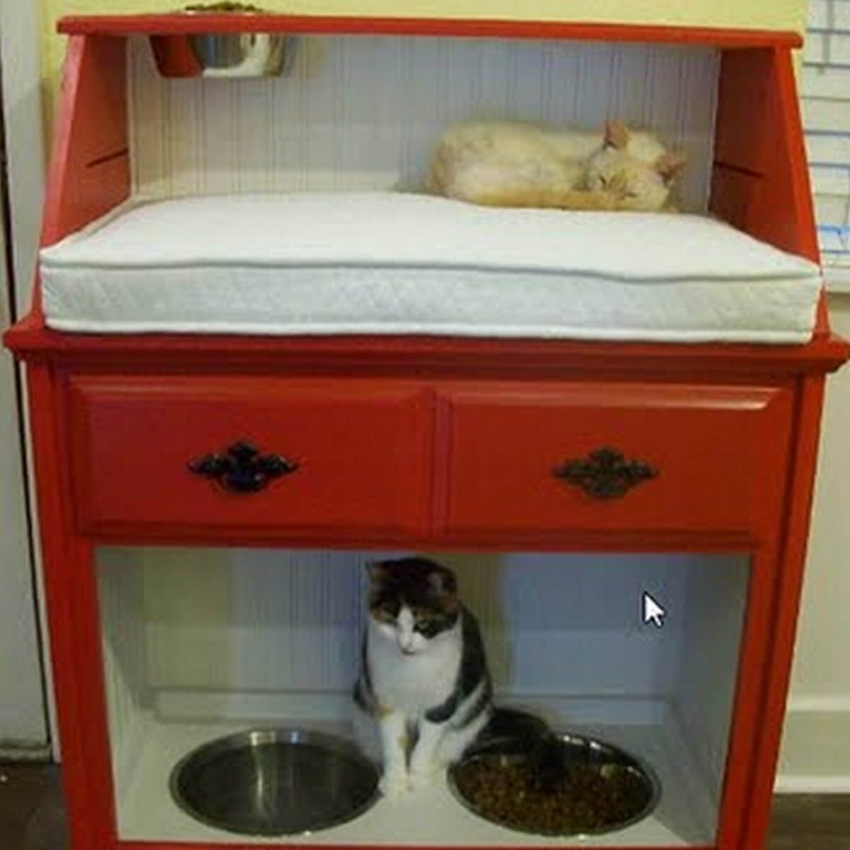 11 Awesome Diy Cat Furniture Ideas The Family Handyman