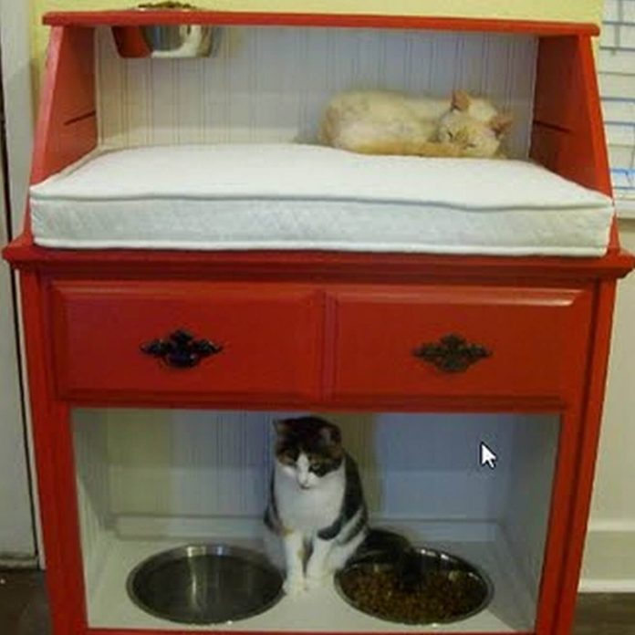 pet station created from vintage secretary desk