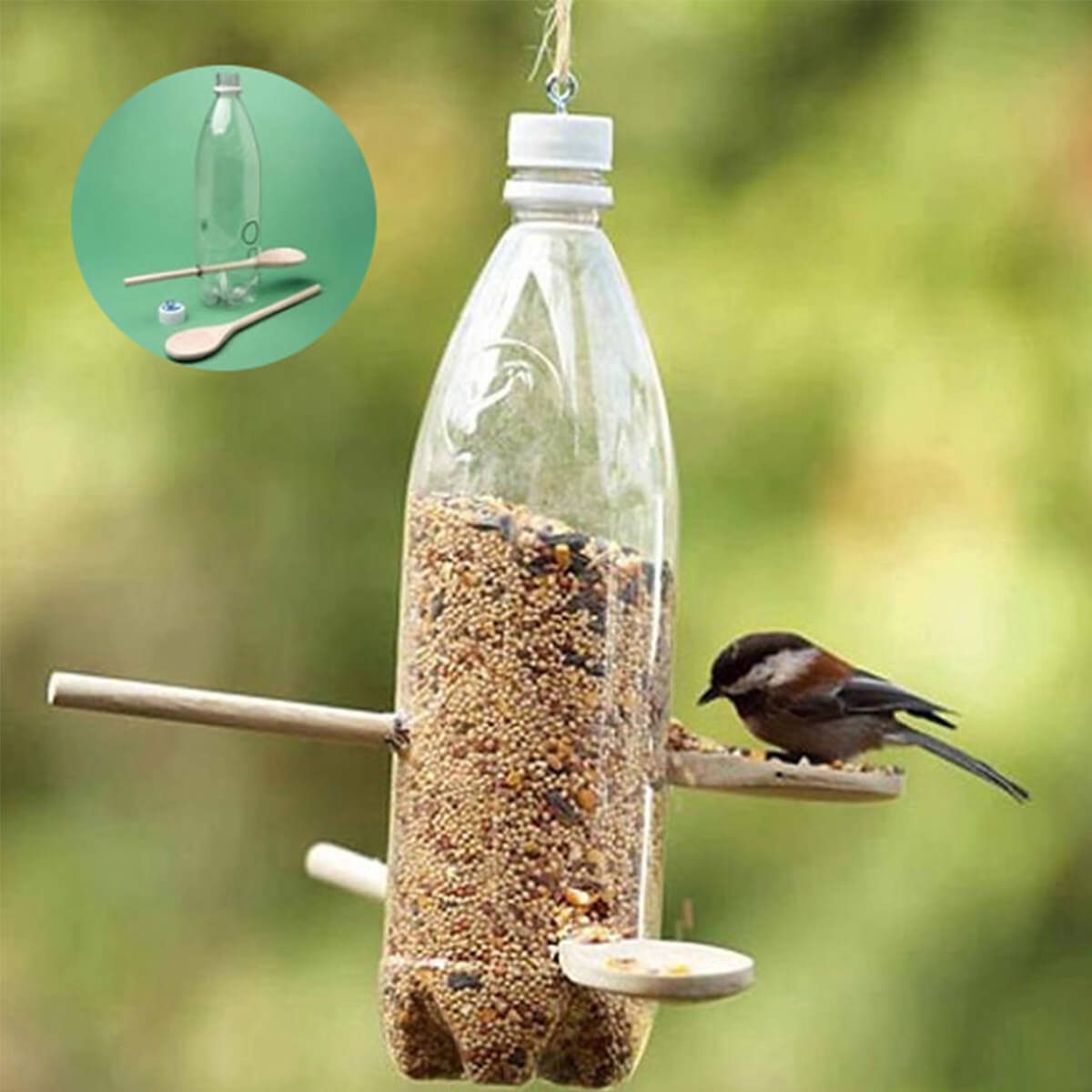 plastic bottle bird feeder collage