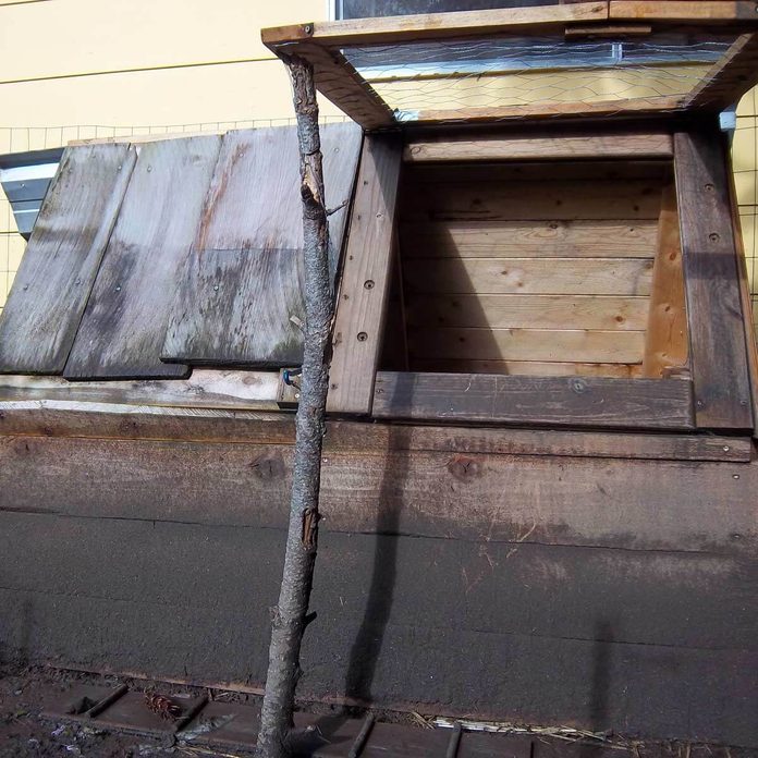 plywood chicken coop