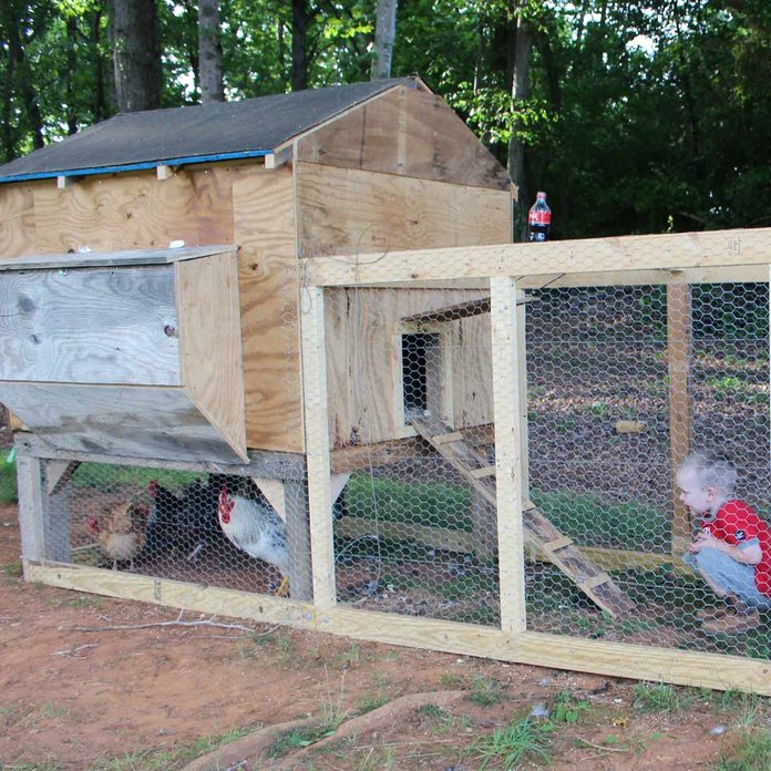 Scrap Wood Coop