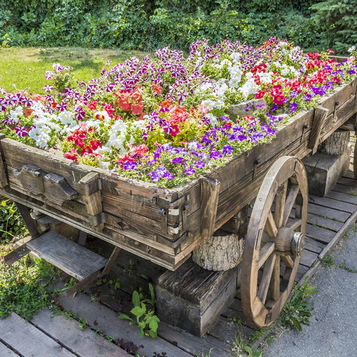 flower-cart