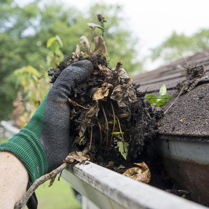 clean gutters