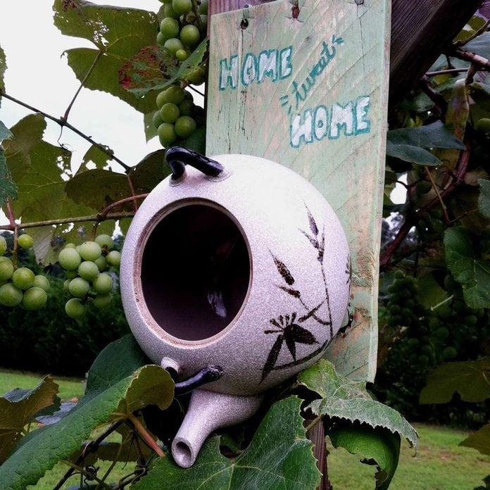 teapot birdhouse