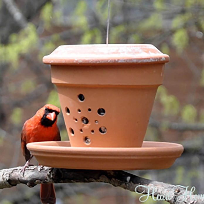 terra cotta pot bird feeder