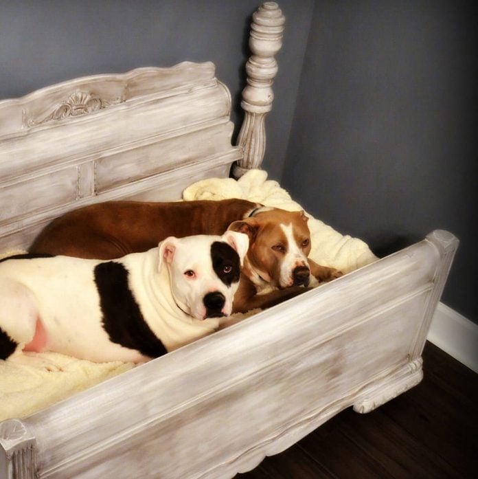 Upcycled Dog Bed