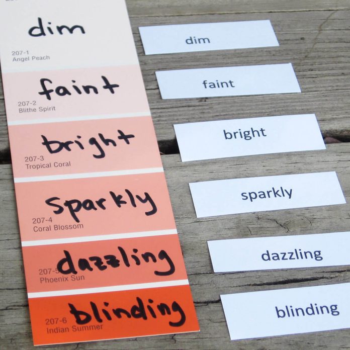 Paint Sample Vocabulary Flashcards