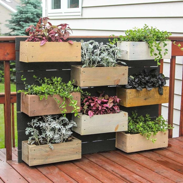 wall plant boxes