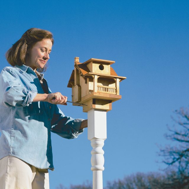install birdhouse post