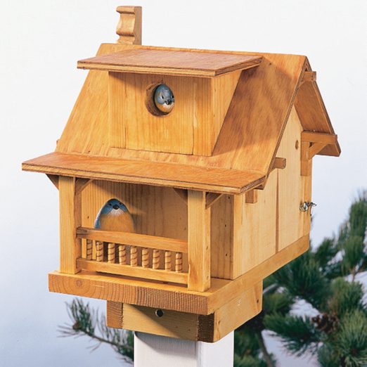 finished oil stained birdhouse