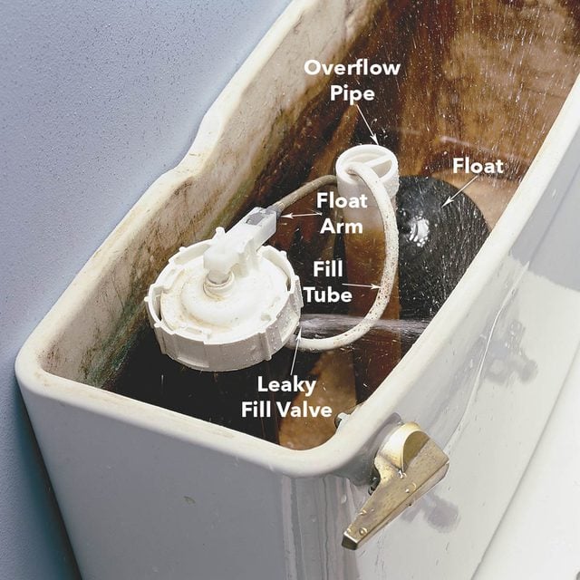 Toilet Troubleshooting: Check the Fill Valve for a Leak diagram