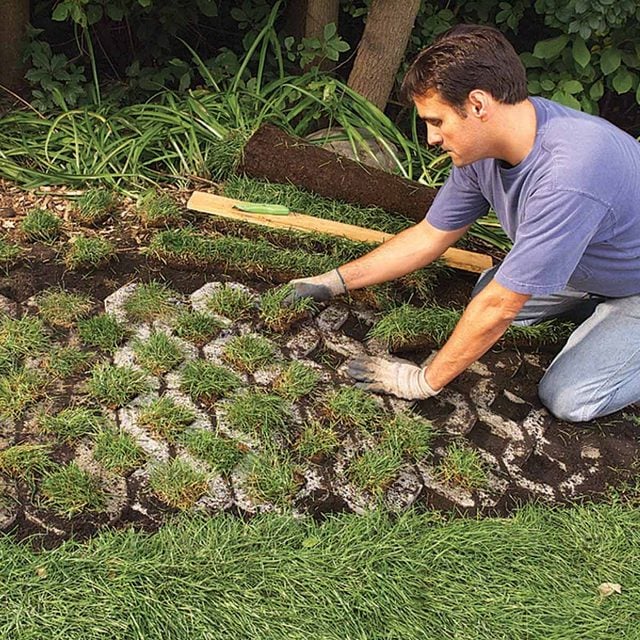 garden paver path that grows sod squares