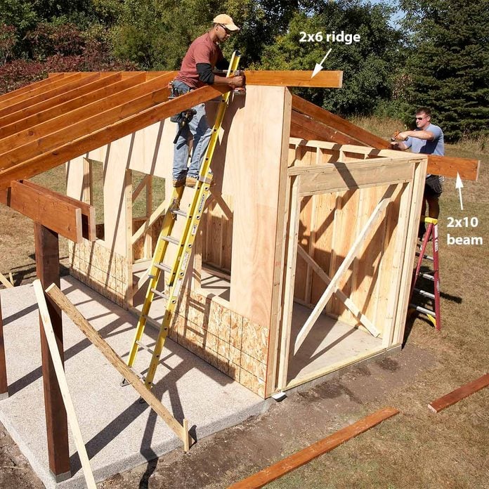 frame the roof of the shed plus shelter