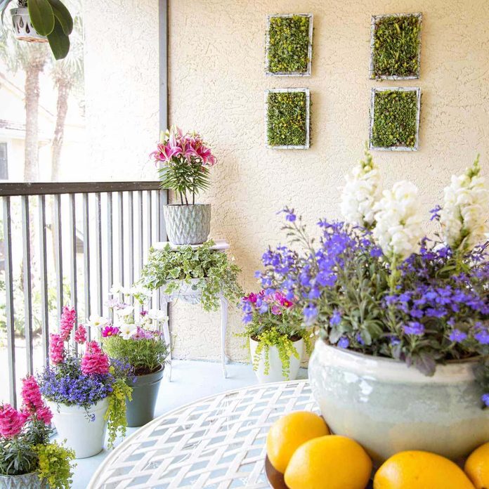 container plants Colorful annuals brighten an outdoor living space
