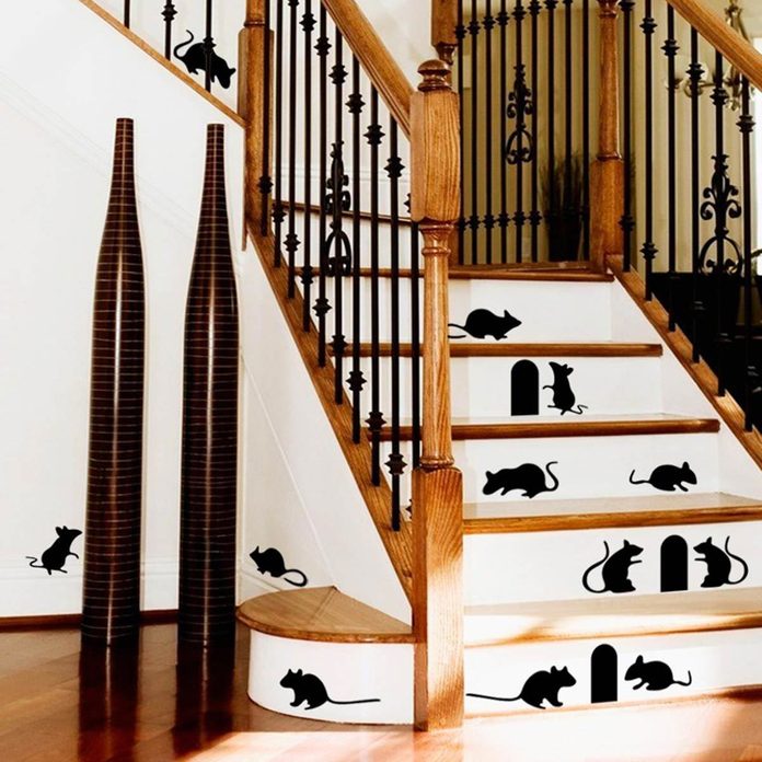 mice stairs decal risers