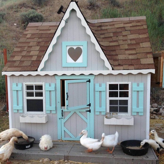 chicken coop cottage kit