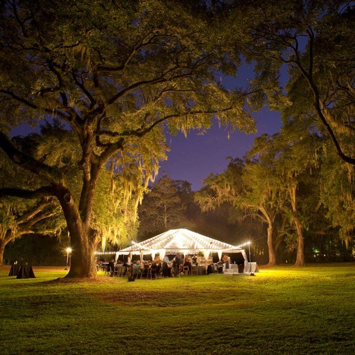 backyard wedding tent