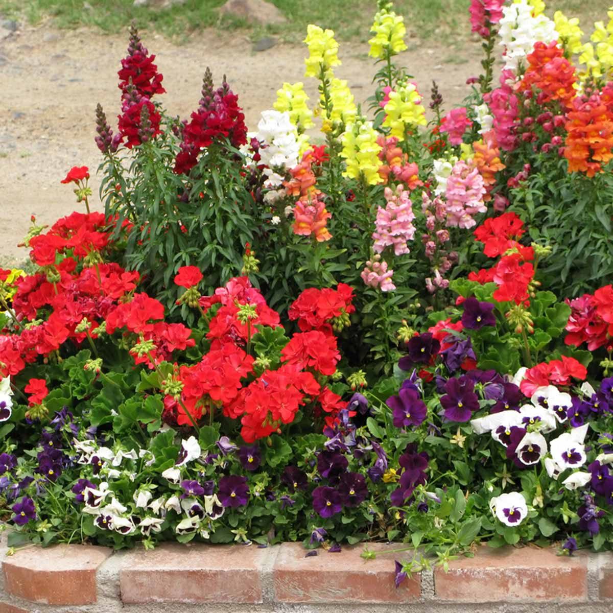 12 Inspiring Flower Bed Designs — The Family Handyman on Annual Flower Bed Designs
 id=83390