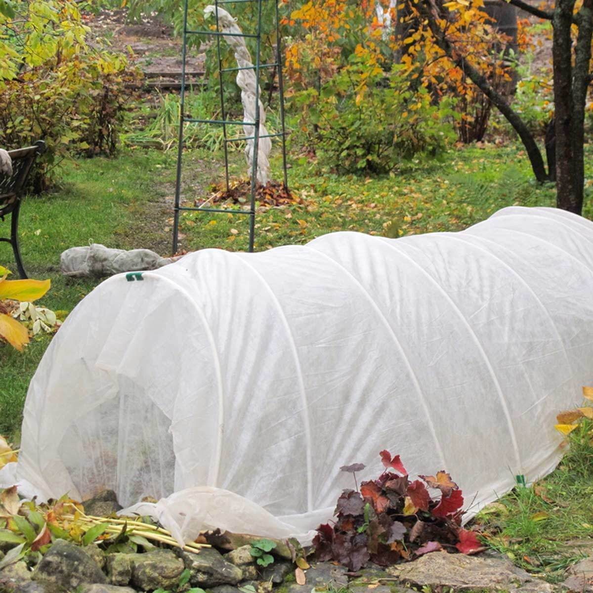 Preparing your garden for autumn – All Incredible Garden Store
