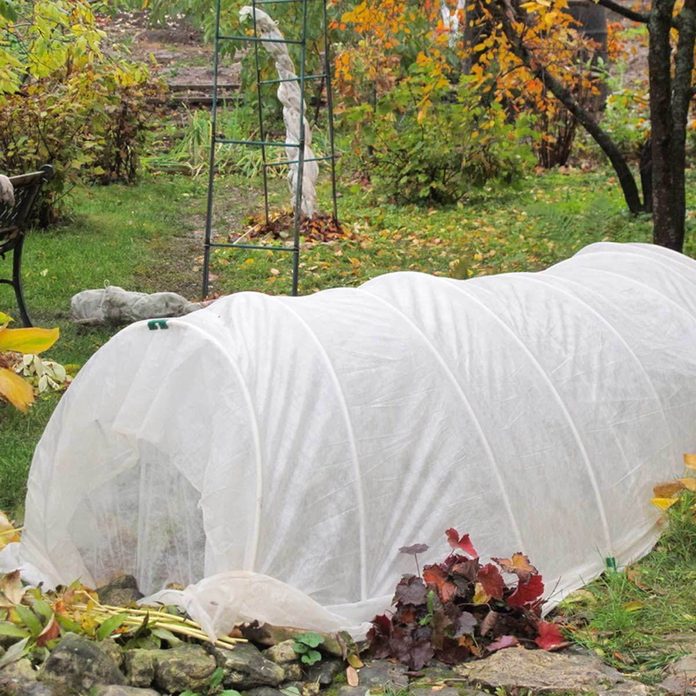 Plant garden tent
