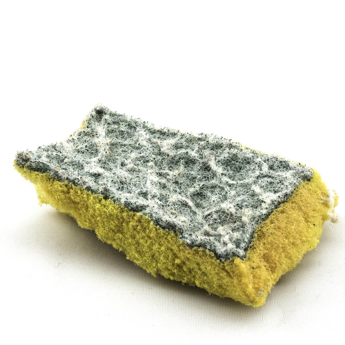 Sponges always stink after just a few cleans! What to do? : r