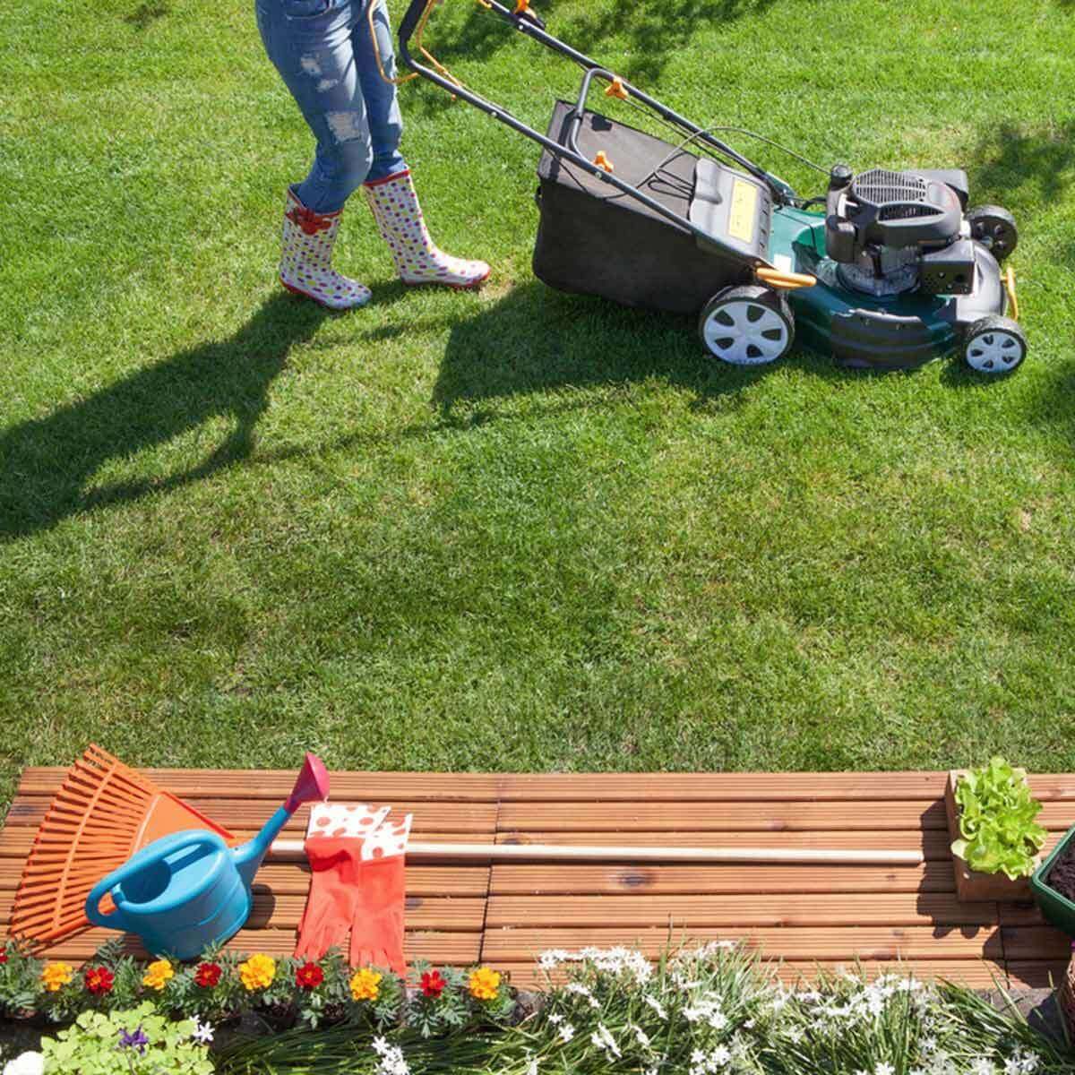 13 Best Lawn Care Products