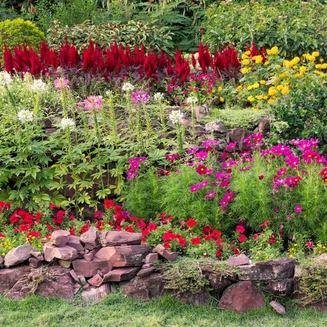 flower bed garden