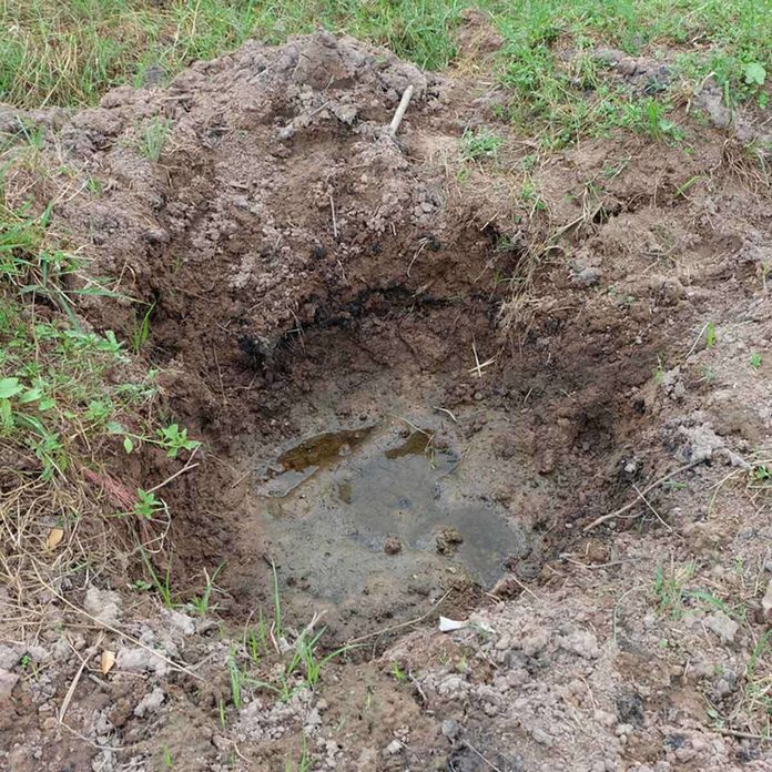 Poorly Drained Soil