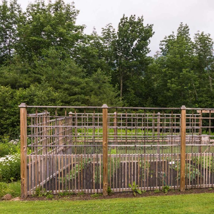 Garden Fencing how to keep animals out of garden