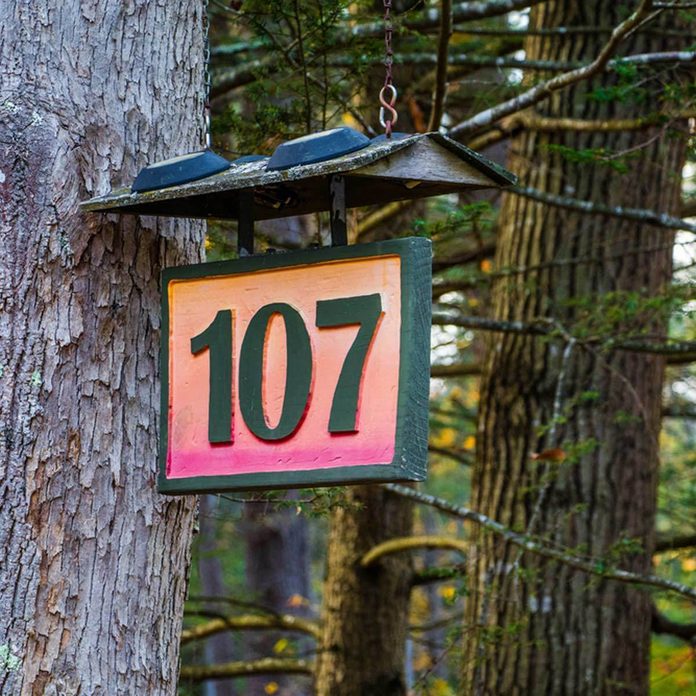 house numbers hung from a tree