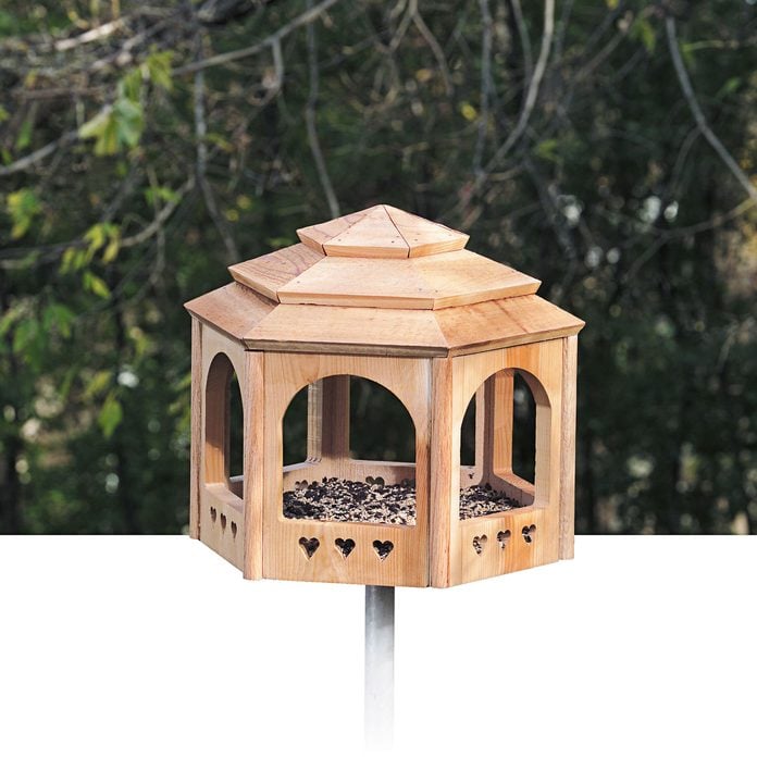 gazebo for the birds bird house
