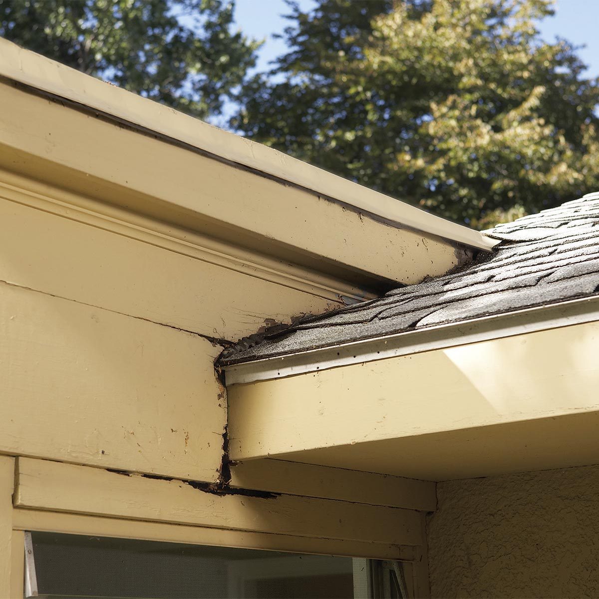 rot along roof edge and side wall