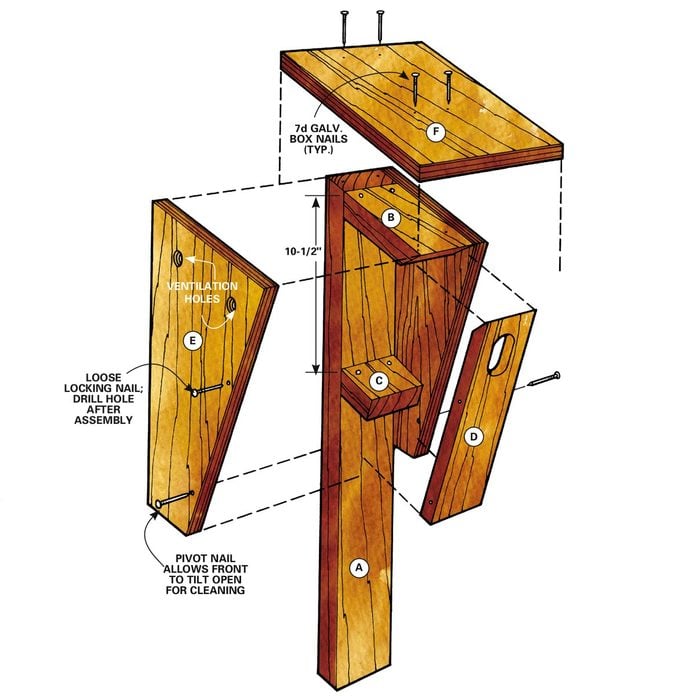 bluebird house step 5