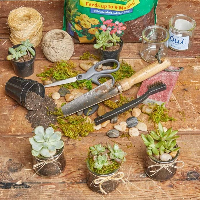 supplies for succulents in glass jars