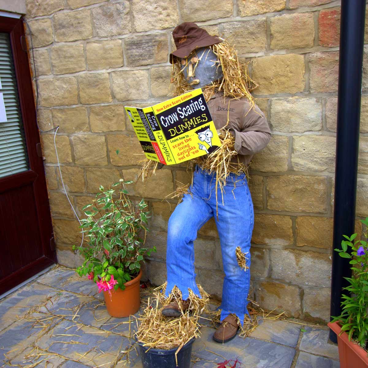 Funny Scarecrow Ideas