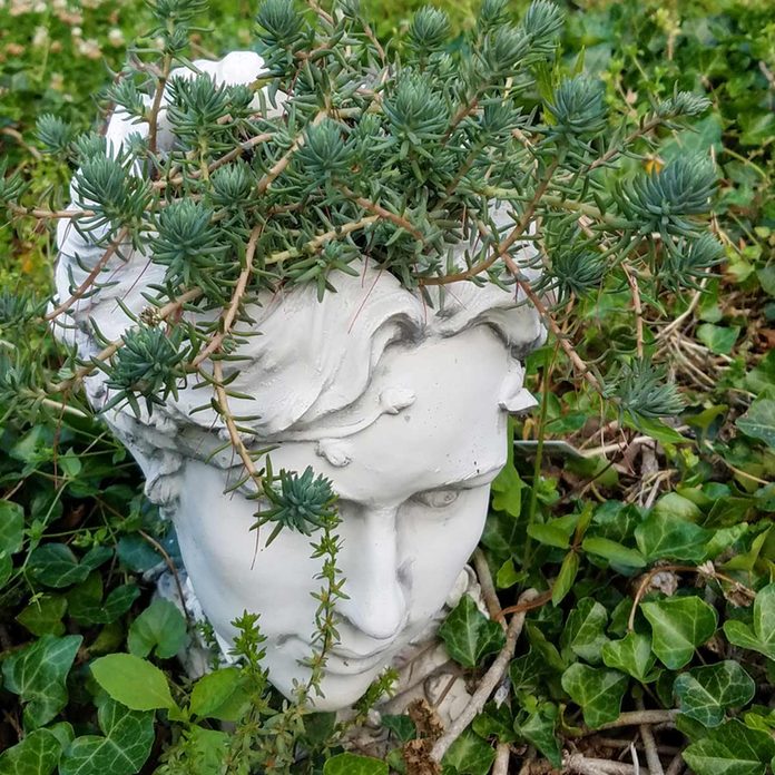garden sculpture head