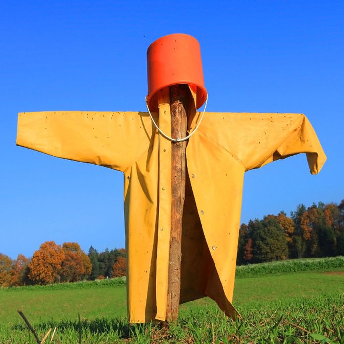 simple scarecrow bucket head
