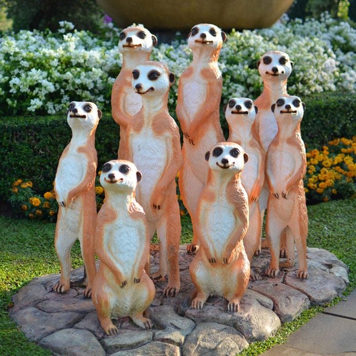 Meerkats plastic tacky lawn ornaments