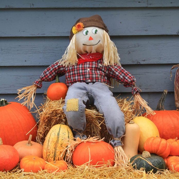 classic scarecrow pumpkins fall