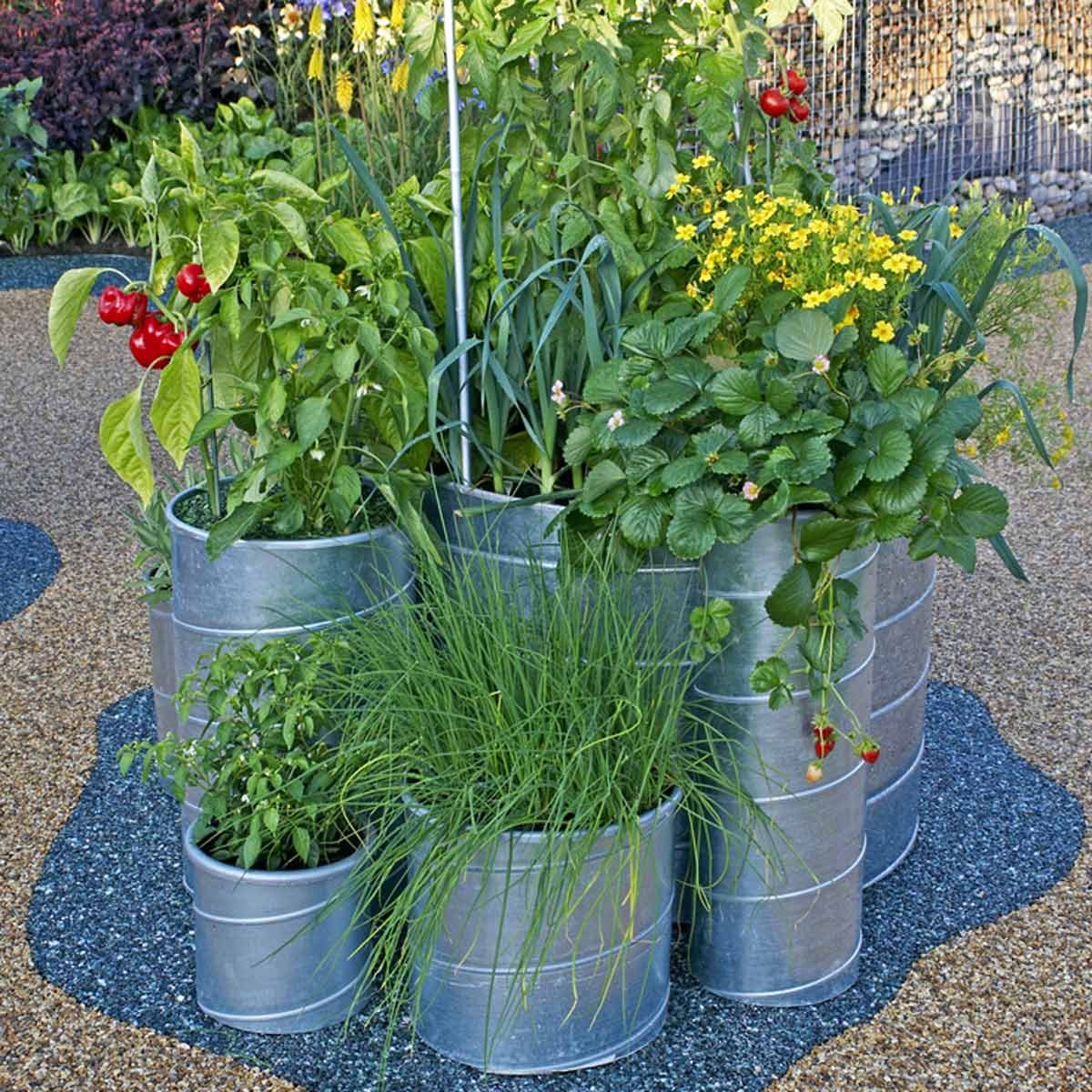 Container Gardening Shutterstock_544301377