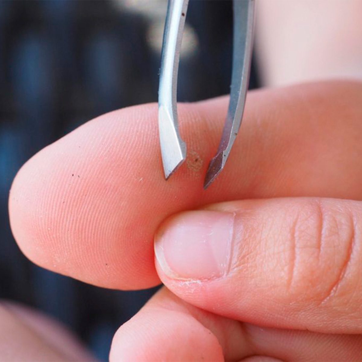 5 Home Remedies to Remove a Splinter — The Family Handyman