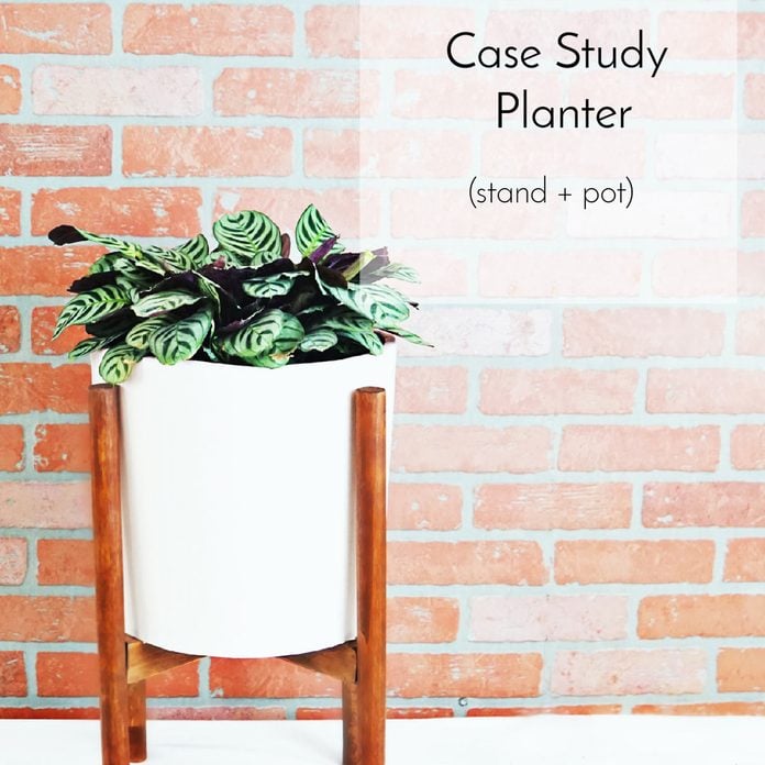 Case-Study Planter