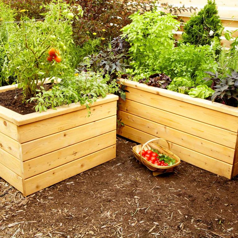 These Simple Planter Boxes are Easy to Build The Family Handyman