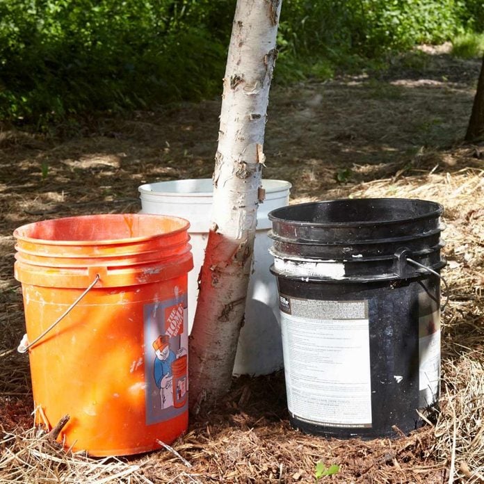 Better tree watering 5 gallon bucket